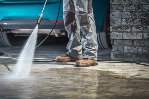 Best Driveway Pressure Washing  in Cologne, NJ