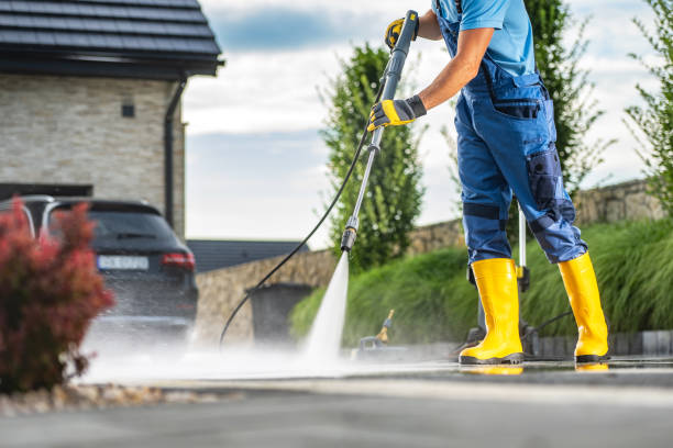 Best Roof Washing  in Cologne, NJ